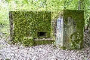 Ligne Maginot - CB310 - ZEITERHOLZ - (Blockhaus pour arme infanterie) - 