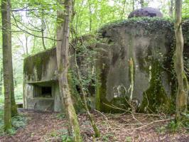 Ligne Maginot - C24 - VIVIER NUTHIAU EST - (Casemate d'infanterie) - 