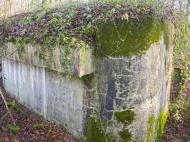 Ligne Maginot - C24 - VIVIER NUTHIAU EST - (Casemate d'infanterie) - La face sud dé-rocaillée