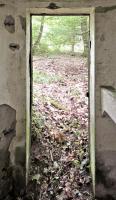 Ligne Maginot - FM14 - VERLORENERBACH 2 - (Blockhaus pour arme infanterie) - L'entrée