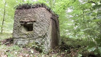 Ligne Maginot - FM14 - VERLORENERBACH 2 - (Blockhaus pour arme infanterie) - Créneau Nord-Est