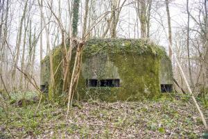Ligne Maginot - B588 - BOIS DES LANIERES 1 - (Blockhaus pour canon) - 