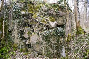 Ligne Maginot - B588 - BOIS DES LANIERES 1 - (Blockhaus pour canon) - 