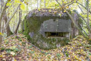 Ligne Maginot - B589 - BOIS DES LANIERES 2 - (Blockhaus pour canon) - 