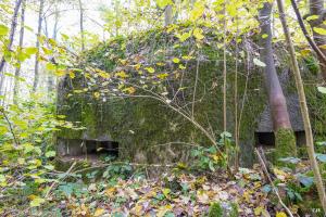 Ligne Maginot - B589 - BOIS DES LANIERES 2 - (Blockhaus pour canon) - 