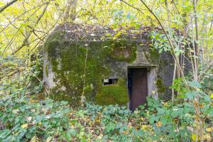 Ligne Maginot - B589 - BOIS DES LANIERES 2 - (Blockhaus pour canon) - 