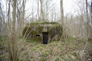 Ligne Maginot - B590 - BOIS DES LANIERES 3 - (Blockhaus pour canon) - 