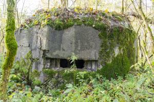 Ligne Maginot - B592 - BOIS DES LANIERES 4 - (Blockhaus pour canon) - 