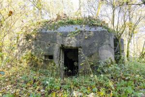 Ligne Maginot - B592 - BOIS DES LANIERES 4 - (Blockhaus pour canon) - 