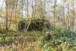 Ligne Maginot - B594 - BOIS DES LANIERES 6 - (Blockhaus pour canon) - 