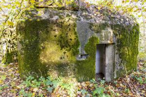 Ligne Maginot - B594 - BOIS DES LANIERES 6 - (Blockhaus pour canon) - 