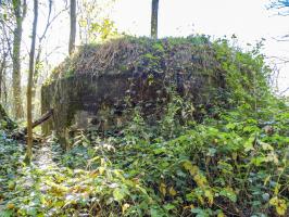 Ligne Maginot - B595 - BOIS DES LANIERES 7 - (Blockhaus pour canon) - 