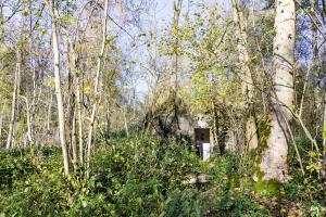 Ligne Maginot - B595 - BOIS DES LANIERES 7 - (Blockhaus pour canon) - 