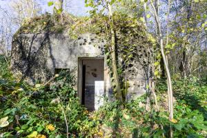 Ligne Maginot - B595 - BOIS DES LANIERES 7 - (Blockhaus pour canon) - 