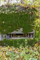 Ligne Maginot - B596 - BOIS DES LANIERES 8 - (Blockhaus pour canon) - 