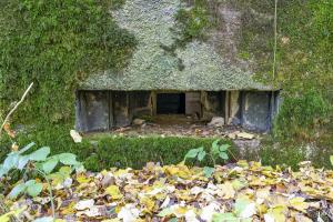Ligne Maginot - B596 - BOIS DES LANIERES 8 - (Blockhaus pour canon) - 