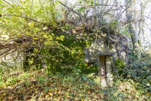 Ligne Maginot - B596 - BOIS DES LANIERES 8 - (Blockhaus pour canon) - 