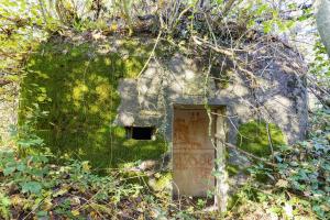 Ligne Maginot - B596 - BOIS DES LANIERES 8 - (Blockhaus pour canon) - 