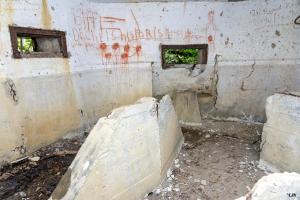 Ligne Maginot - B596 - BOIS DES LANIERES 8 - (Blockhaus pour canon) - 