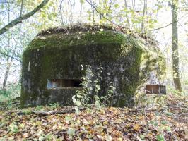 Ligne Maginot - B597 - BOIS DES LANIERES 9 - (Blockhaus pour canon) - 