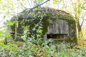 Ligne Maginot - B597 - BOIS DES LANIERES 9 - (Blockhaus pour canon) - 