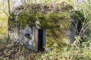 Ligne Maginot - B597 - BOIS DES LANIERES 9 - (Blockhaus pour canon) - 