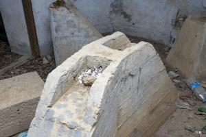 Ligne Maginot - B597 - BOIS DES LANIERES 9 - (Blockhaus pour canon) - 