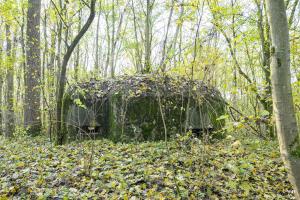 Ligne Maginot - B599 - BOIS DES ECOLIERS OUEST - (Blockhaus pour canon) - 