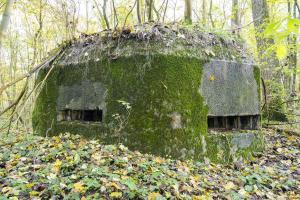 Ligne Maginot - B599 - BOIS DES ECOLIERS OUEST - (Blockhaus pour canon) - 