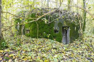 Ligne Maginot - B599 - BOIS DES ECOLIERS OUEST - (Blockhaus pour canon) - 