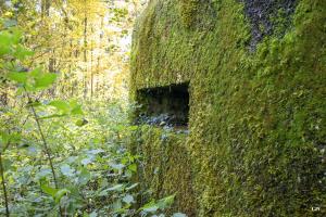 Ligne Maginot - GODELOT - (Blockhaus pour arme infanterie) - Créneau