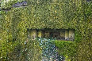 Ligne Maginot - GODELOT - (Blockhaus pour arme infanterie) - Créneau