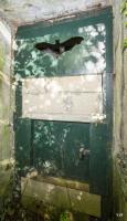 Ligne Maginot - GODELOT - (Blockhaus pour arme infanterie) - La porte