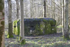 Ligne Maginot - GODELOT - (Blockhaus pour arme infanterie) - Le blockhaus près du Carrefour de la Veuve dans le forêt de Mormal