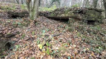 Ligne Maginot - VERLORENERBACH - (Blockhaus pour arme infanterie) - L'extérieur