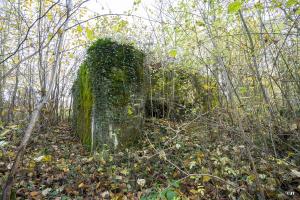 Ligne Maginot - CB174 - (Blockhaus pour canon) - Le créneau est à peine visible