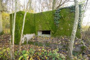 Ligne Maginot - CB272 - GENFER 2 - (Blockhaus pour canon) - 