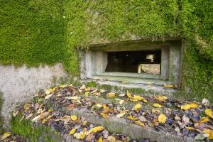 Ligne Maginot - CB272 - GENFER 2 - (Blockhaus pour canon) - 