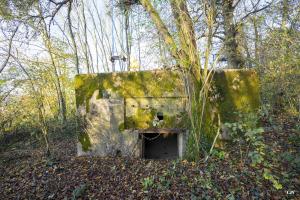 Ligne Maginot - CB272 - GENFER 2 - (Blockhaus pour canon) - L'entrée du matériel