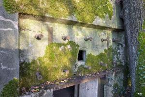 Ligne Maginot - CB272 - GENFER 2 - (Blockhaus pour canon) - L'entrée du matériel