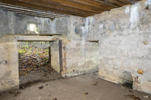 Ligne Maginot - CB272 - GENFER 2 - (Blockhaus pour canon) - Les entrées