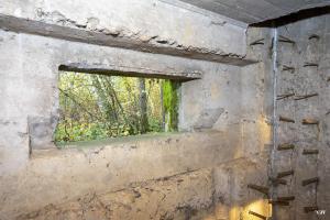 Ligne Maginot - CB272 - GENFER 2 - (Blockhaus pour canon) - 