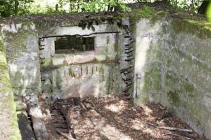Ligne Maginot - CB273 - GENFER 1 - (Blockhaus pour canon) - Autre vue