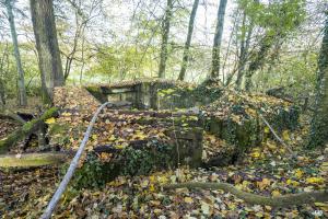 Ligne Maginot - CB273 - GENFER 1 - (Blockhaus pour canon) - 