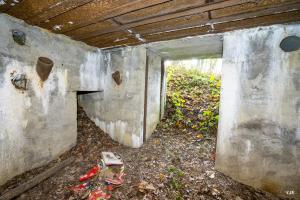 Ligne Maginot - CB274 - SAINTE MARIE 2 - (Blockhaus pour canon) - 
