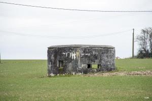 Ligne Maginot - B613 - LA PISSELOTTE - (Blockhaus pour canon) - 