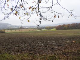 Ligne Maginot - GUNGLINGERBERG 7 - (Cuve pour arme d'infanterie) - La zone de tir du blockhaus.