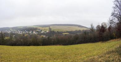 Ligne Maginot - MEISTERBUSCH 3 - (Observatoire d'infanterie) - La vue depuis l'observatoire (photo prise depuis la petite prairie qui se trouve juste devant).