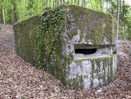 Ligne Maginot - MEISTERBUSCH 3 - (Observatoire d'infanterie) - Un observatoire dans la forêt