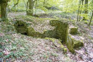 Ligne Maginot - MEISTERBUSCH 1 - (Cuve pour arme d'infanterie) - 
